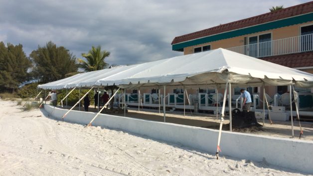 beach wedding tent